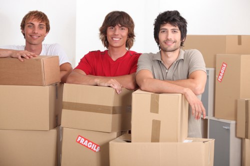 Packing and loading items for a Crystal Palace van service