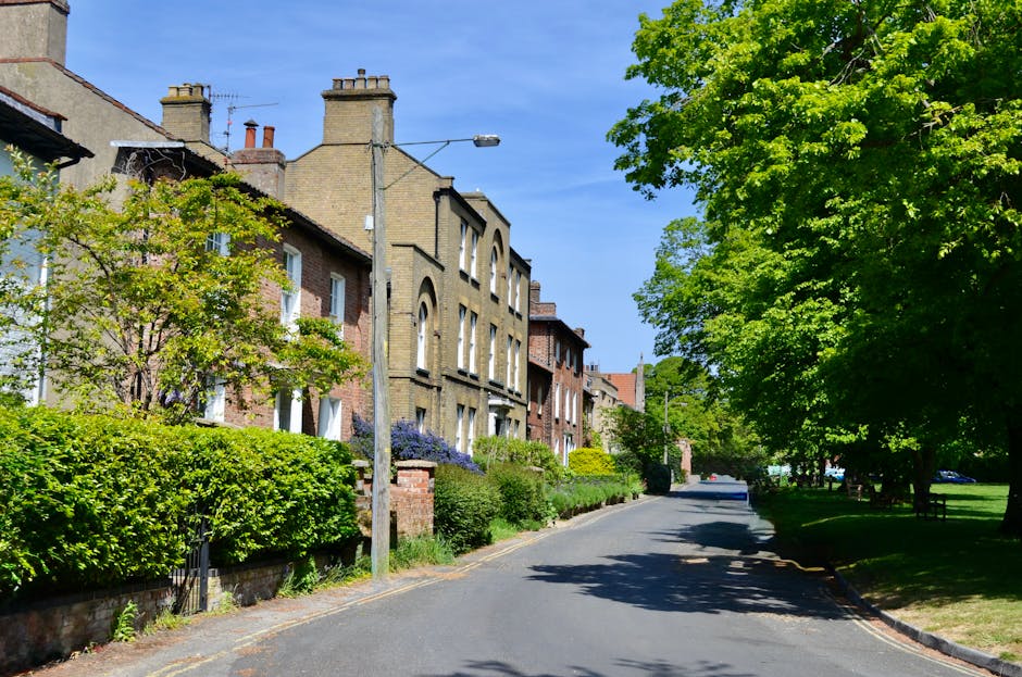 A quiet residential street on Anerley Hill with narrow roadway and parked cars along the pavement. The street is lined with Victorian-style terraced houses featuring brick facades, large windows, and chimney stacks on the rooftops. Lush green trees and well-maintained shrubs and bushes grow along the front gardens and borders, creating a leafy, inviting atmosphere. A street lamp is mounted on a tall pole positioned near the centre of the image, and the sky is clear and bright blue, indicating a sunny day. The scene captures the residential environment often involved in home relocation and furniture transport, highlighting the narrow access street that Crystal Palace Removals may navigate for house removals and moving services in the area.