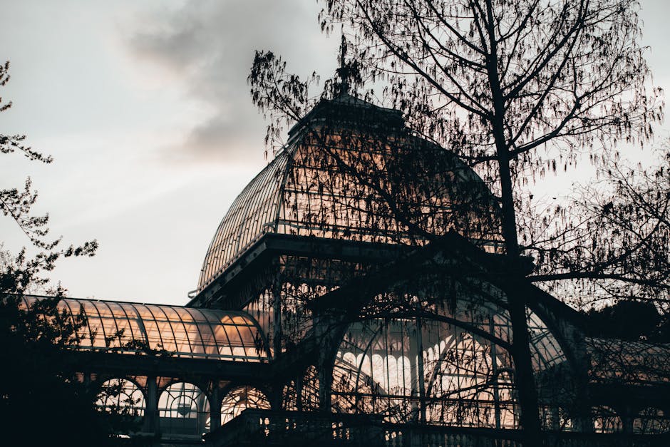 A large glass greenhouse structure with curved glass panels and metal framing is shown during dusk, partially obscured by the silhouettes of leafless trees. The building features multiple interconnected sections, including a prominent domed area and lower rooftop segments, all set outdoors with a cloudy sky in the background. This scene illustrates a home relocation environment where furniture and packing materials, such as cardboard boxes, padded blankets, and plastic wrap, may be packed for transportation. The setting suggests the process of loading items into a removal vehicle, supported by the presence of a van nearby, which is part of the logistics handled by Crystal Palace Removals. The natural lighting highlights the transparency of the greenhouse glass, emphasizing the structural details and the surrounding outdoor environment, which is relevant to moving and packing within house removals and furniture transport contexts.