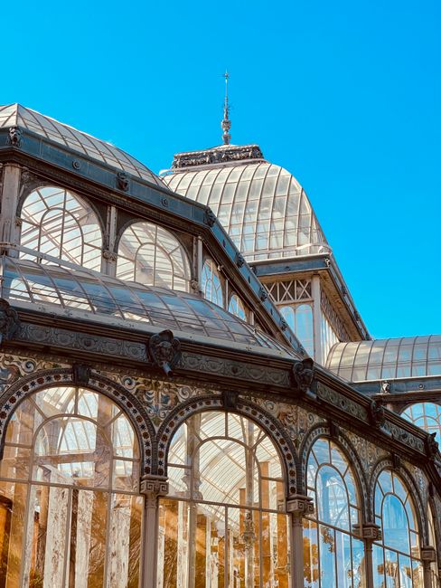 The image shows the exterior of an ornate glasshouse with a decorative painted base, situated outdoors amidst tall green trees under a bright blue sky. The glass structure features large, clear glass panels framed by white metal supports, allowing sunlight to illuminate the interior and create reflections on the glass. The ornate painted base of the glasshouse includes intricate patterns and motifs, adding to its historic and decorative appearance. The setting appears to be part of a garden or park environment, with nearby trees casting dappled shadows on the structure. This type of glasshouse is commonly used for botanical displays or entertainment venues, and the image likely relates to house removals or moving services focused on relocating large, fragile glass or decorative architectural elements, as offered by Crystal Palace Removals.
